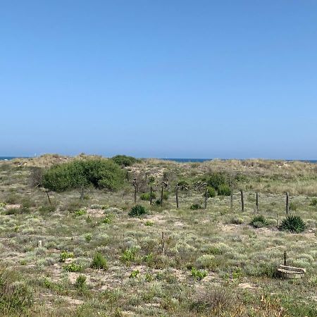 Mon Petit Paradis, Vue Sur Dunes Et Mer, Acces Direct Plage Robinson, Terrasse, Parking Prive, Tres Ressourcant, A Marseillan Plage Εξωτερικό φωτογραφία