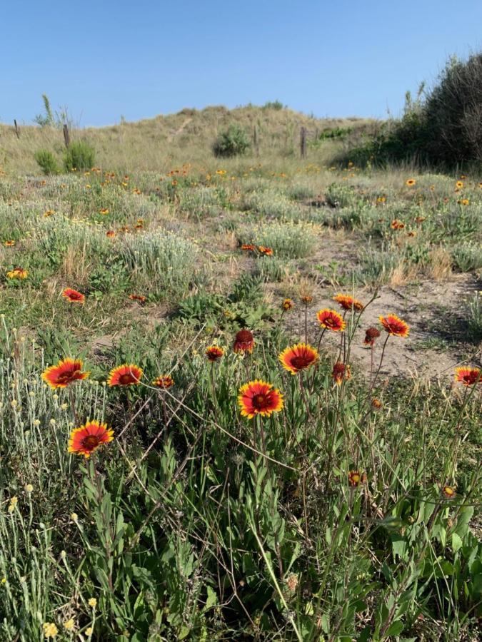 Mon Petit Paradis, Vue Sur Dunes Et Mer, Acces Direct Plage Robinson, Terrasse, Parking Prive, Tres Ressourcant, A Marseillan Plage Εξωτερικό φωτογραφία