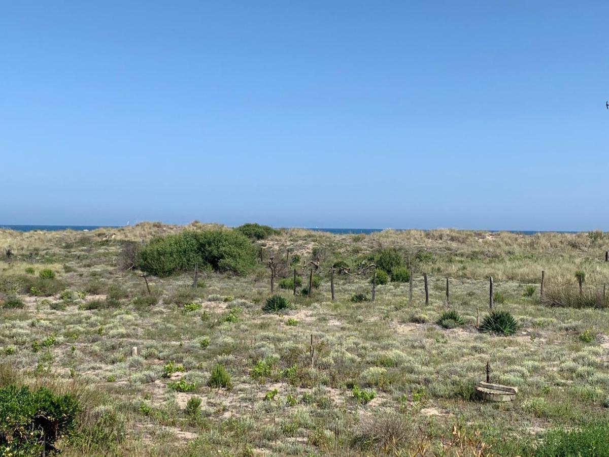 Mon Petit Paradis, Vue Sur Dunes Et Mer, Acces Direct Plage Robinson, Terrasse, Parking Prive, Tres Ressourcant, A Marseillan Plage Εξωτερικό φωτογραφία